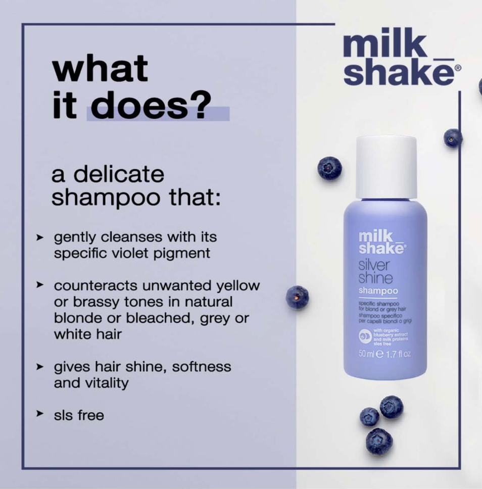milk_shake Silver Shine Travel Duo