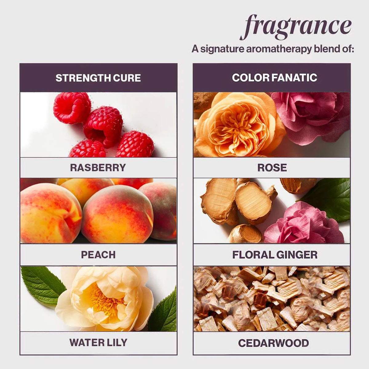 Pureology Strength Cure Kit – Shampoo, Conditioner & Color Fanatic Leave-In