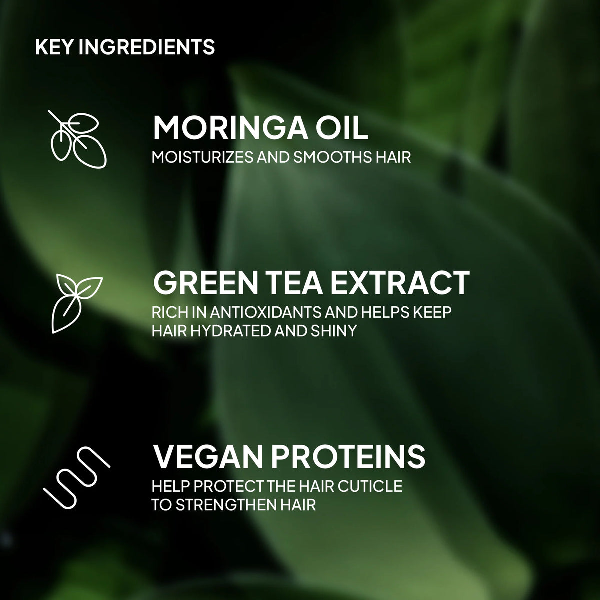 Key ingredients of a hair care product with moringa oil, green tea extract, and vegan proteins on a green leaf background.