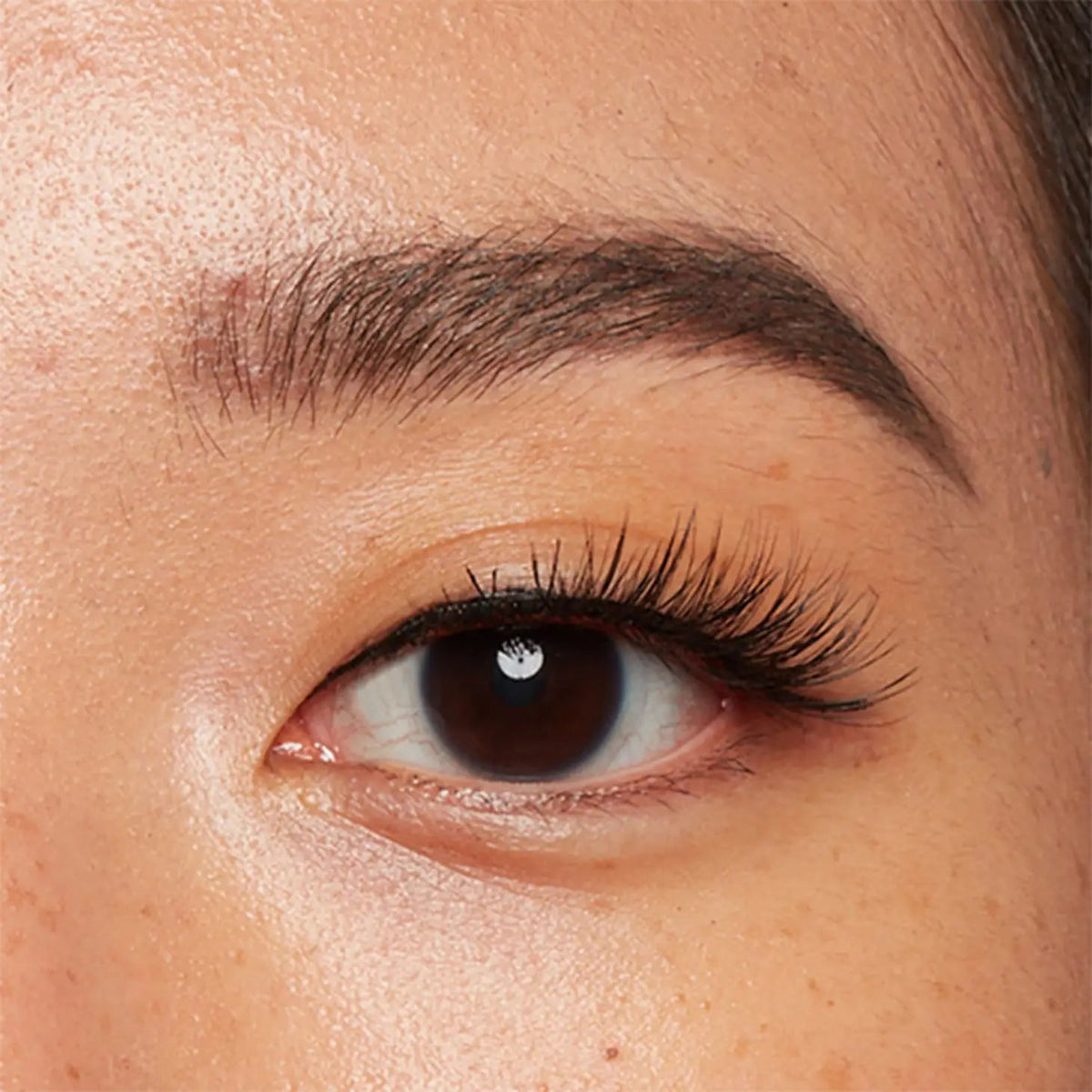 Jeans & a Nice Top Strip Lashes - Blend Box