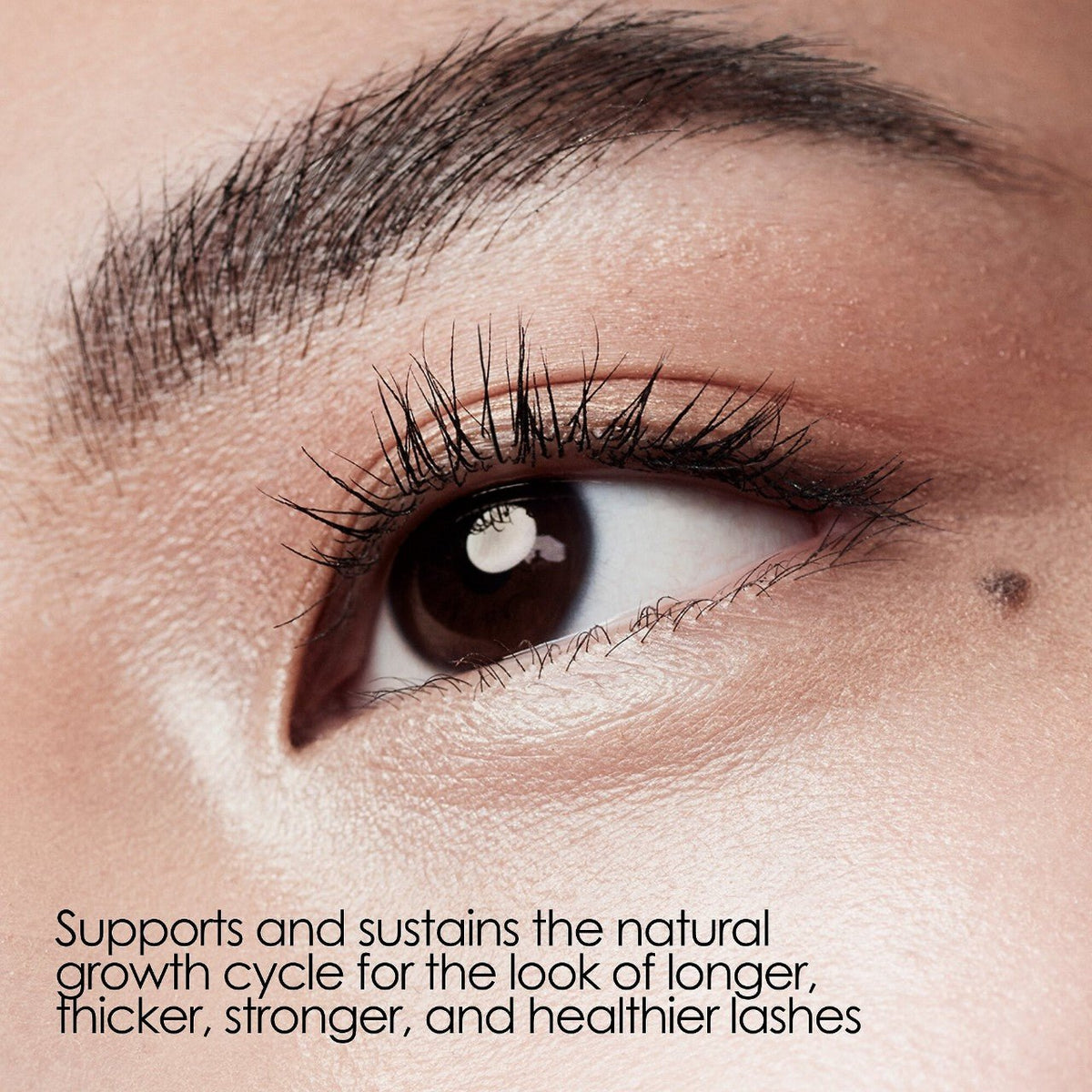 Olaplex Lashbond Building Serum - Blend Box