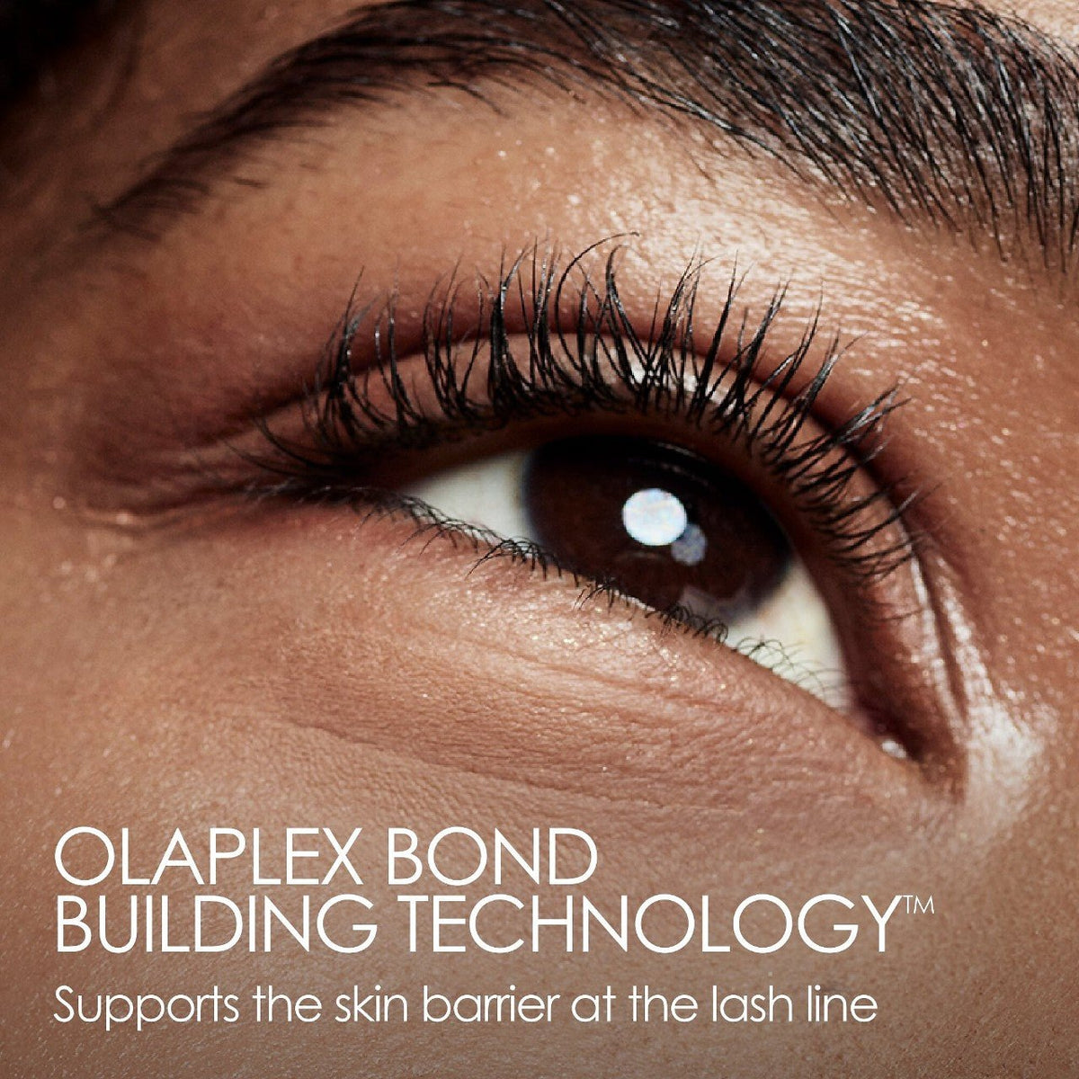 Olaplex Lashbond Building Serum - Blend Box