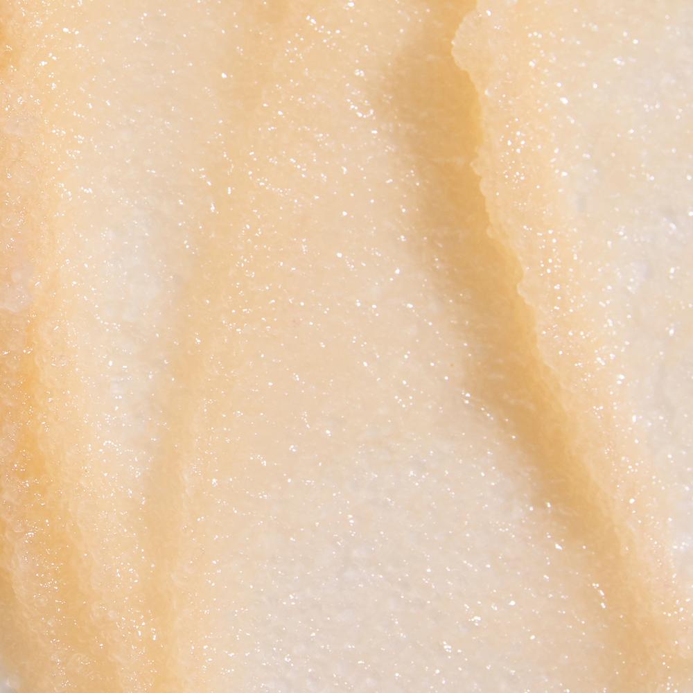 Sugar Sugar - Almond Cookie Lip Scrub - Blend Box