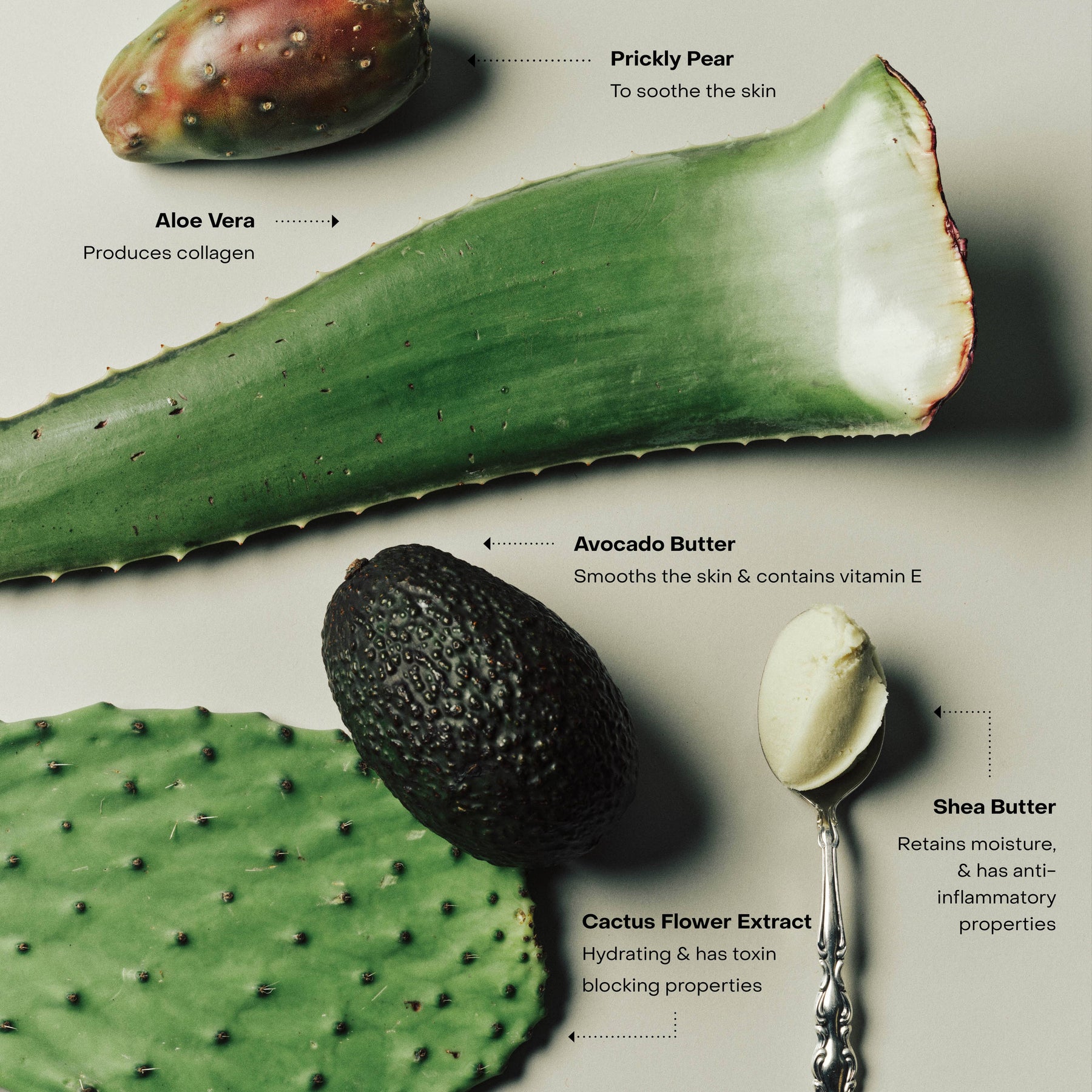 SIDIA The Body Exfoliant: Wired – Resurfacing & Energizing Skin Polisher