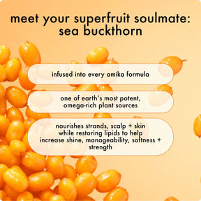 amika x Ellis Brooklyn dry shampoo MIAMI X NECTAR