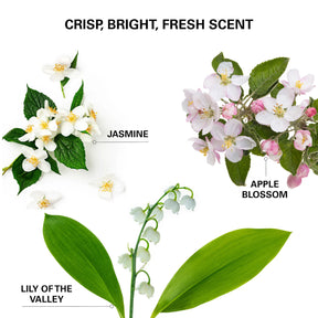 Color WOW Insta-WOW Advanced Dry Shampoo