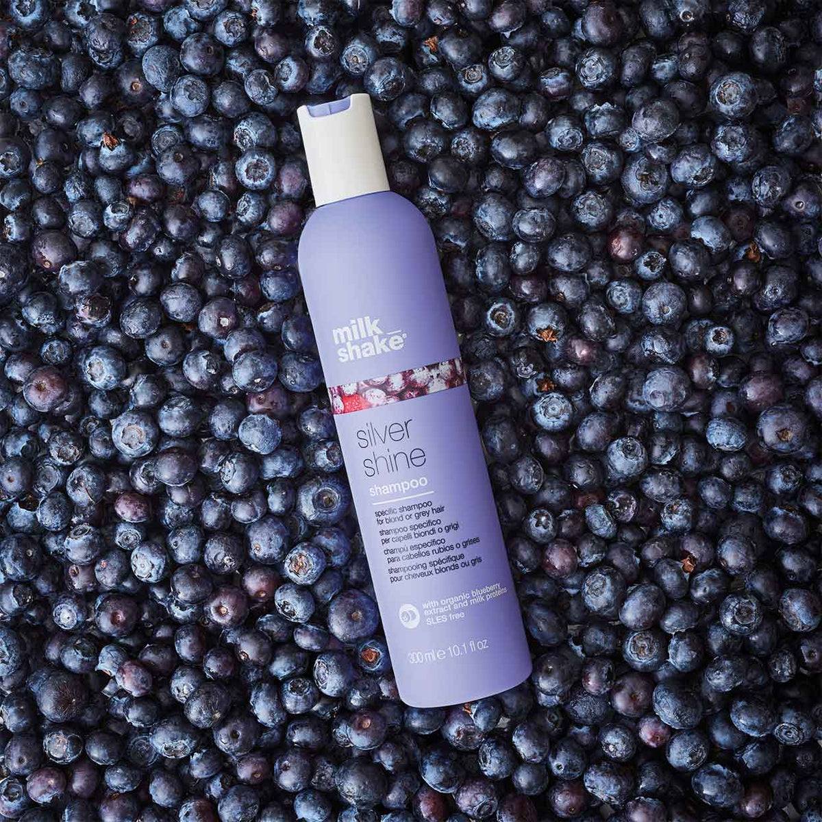 milk_shake Silver Shine Duo