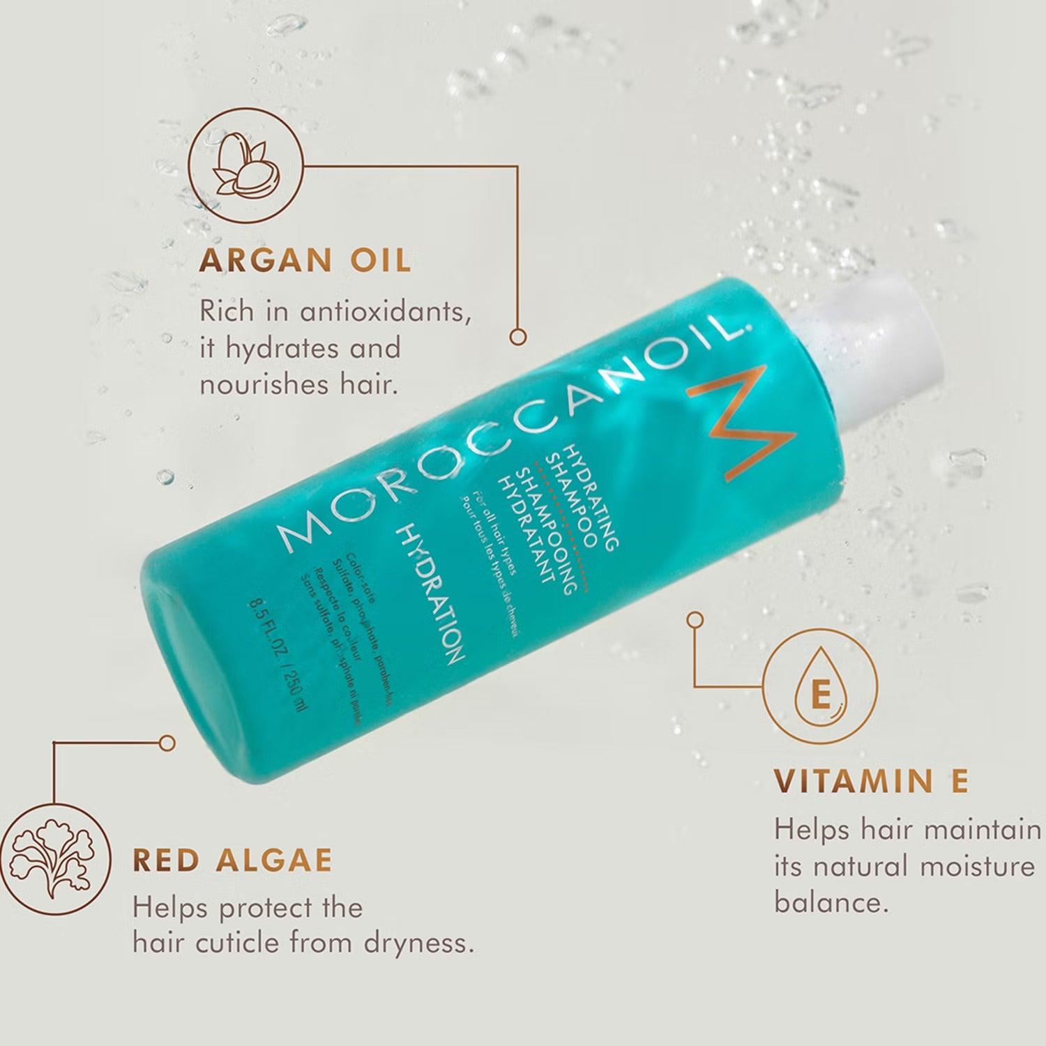 MOROCCANOIL Hydration Set