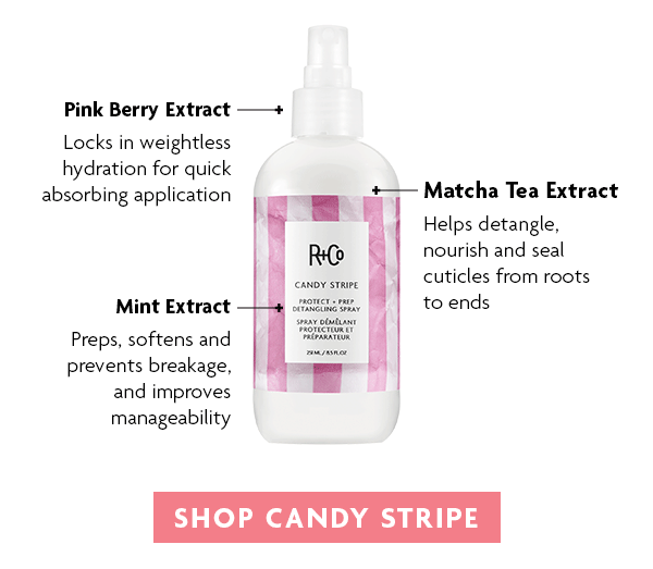 R+CO CANDY STRIPE Protect + Prep Detangling Spray