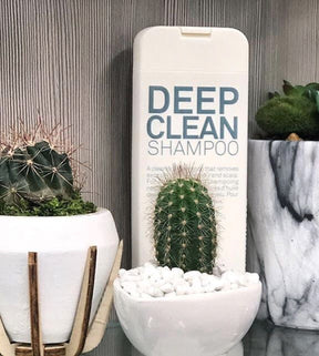 ELEVEN Australia Deep Clean Shampoo - Blend Box