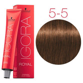 Igora Royal Golds - Blend Box