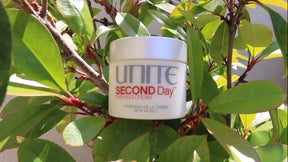UNITE: Second Day - Blend Box