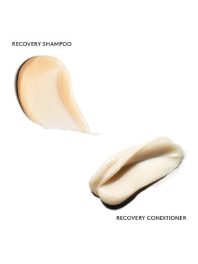 VIRTUE Pro Possibilities Kit: Recovery - Blend Box